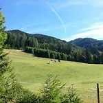 Balon Kranjska Gora