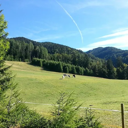 Balon Kranjska Gora